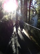 Silver Falls 12.10.05 010 